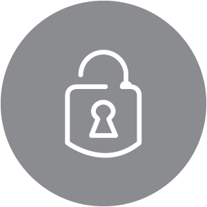 Lock icon gray